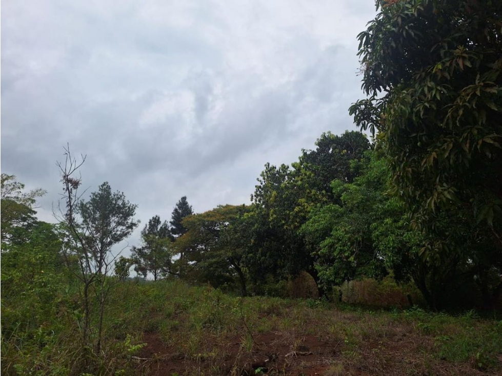 VENTA TERRENO/FINCA TOCUMEN 9,842m2 CERCA CARRETERA PRINCIPAL MLD - 4