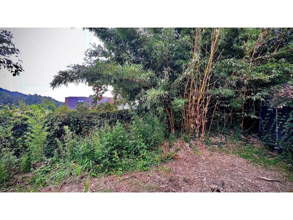 Venta Lotes Casas Separadas con Jardin Unidad Cerrada El Retiro — foto 6