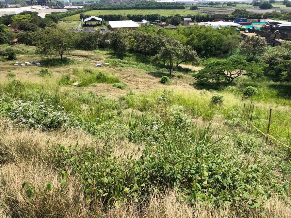 Venta Ultimos Lotes Laguna Seca via Cali Yumbo — foto 5