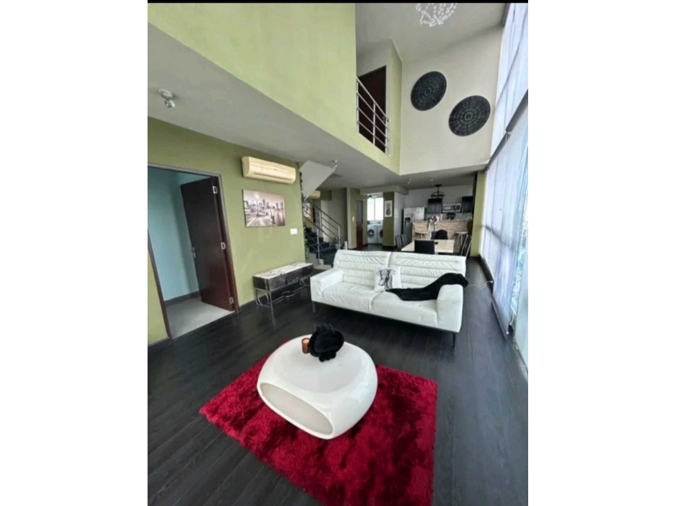 VENTA Y ALQUILER DE APARTAMENTO PH PARK LOFT PANAMA — foto 2