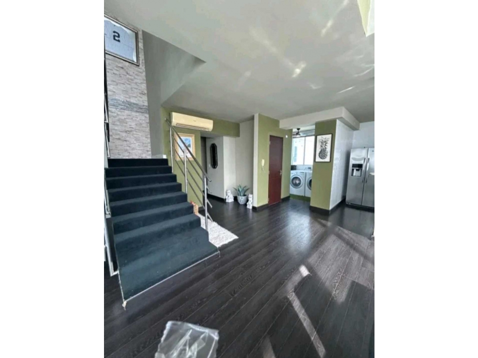 VENTA Y ALQUILER DE APARTAMENTO PH PARK LOFT PANAMA — foto 3