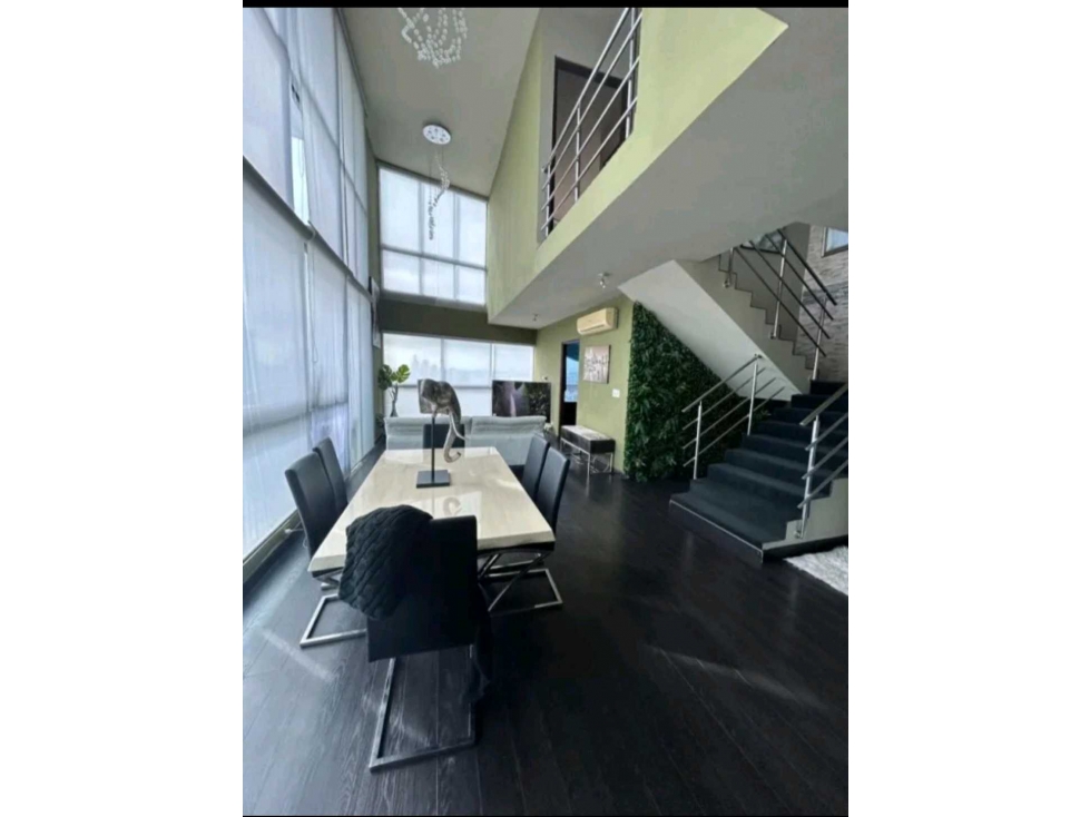VENTA Y ALQUILER DE APARTAMENTO PH PARK LOFT PANAMA — foto 4