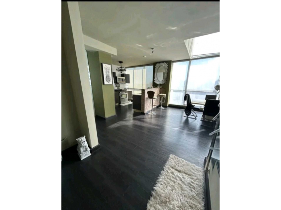 VENTA Y ALQUILER DE APARTAMENTO PH PARK LOFT PANAMA — foto 5