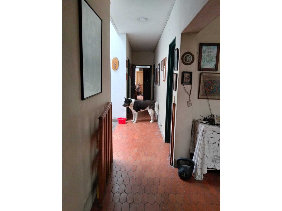 Ventade casa primer piso en la castellana — foto 5