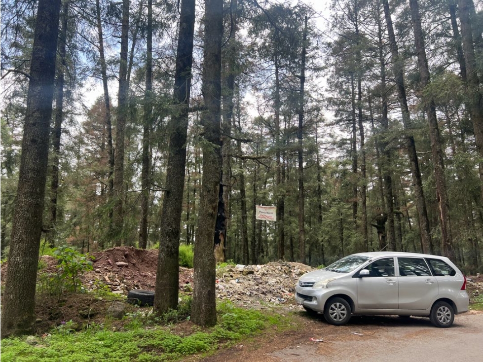 Terreno boscoso en Venta en Pueblo Nuevo, cerca de Huasca