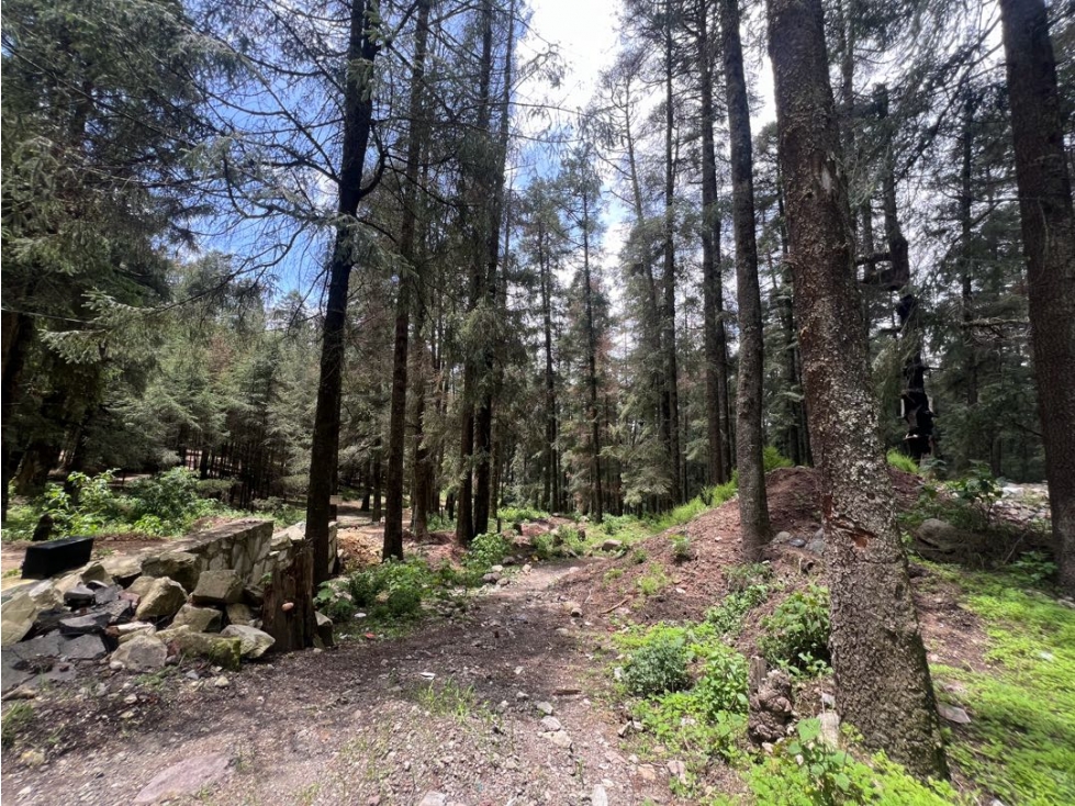 Terreno boscoso en Venta en Pueblo Nuevo, cerca de Huasca — foto 2
