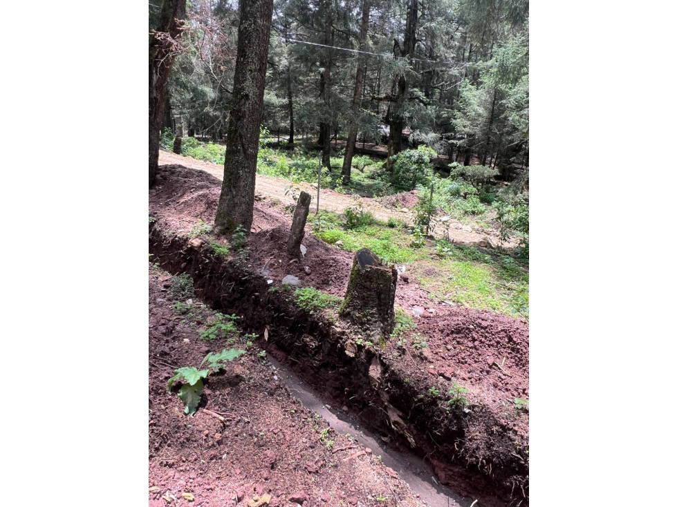 Terreno boscoso en Venta en Pueblo Nuevo, cerca de Huasca — foto 4