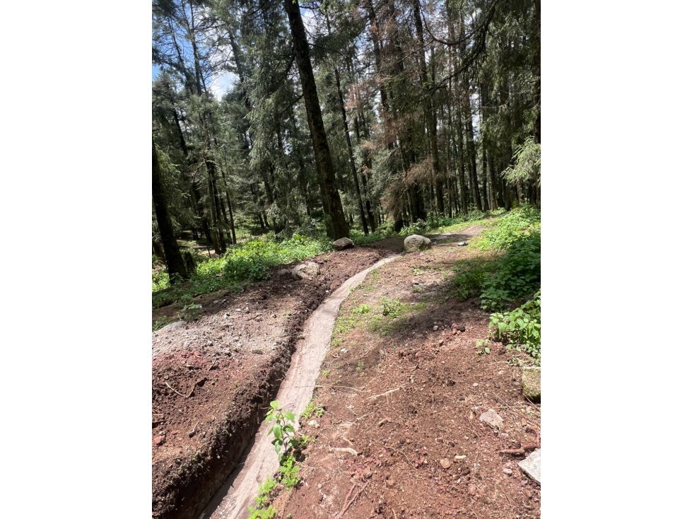 Terreno boscoso en Venta en Pueblo Nuevo, cerca de Huasca — foto 5