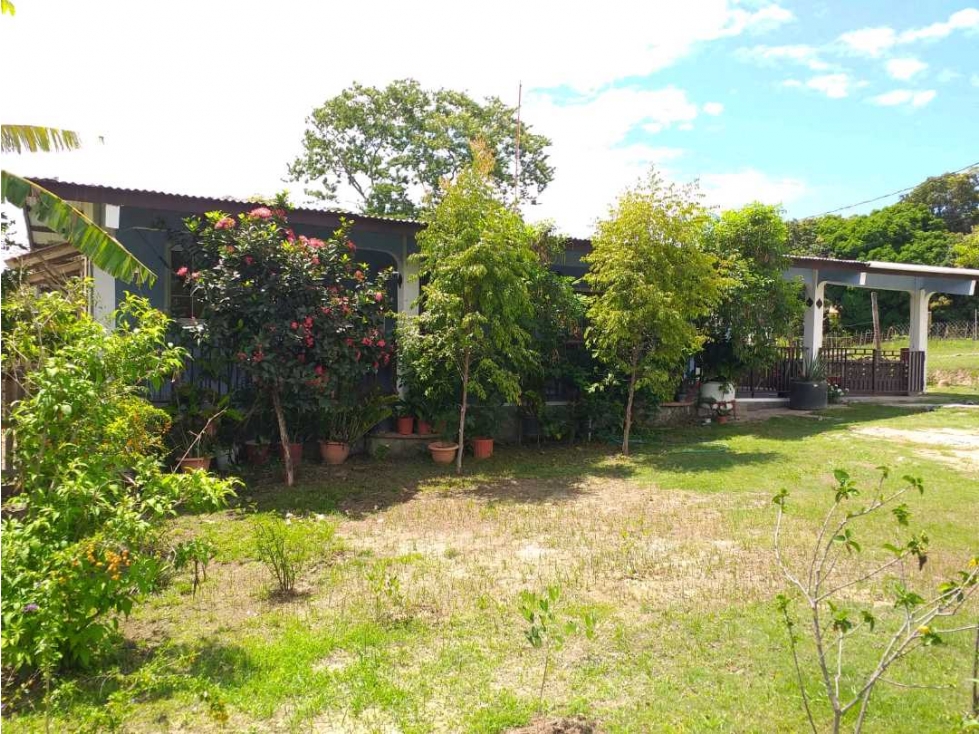 VENTA¡GRAN OPORTUNIDAD! DOS CASAS UNIFAMILIARES EN PENONOMÉ - 6