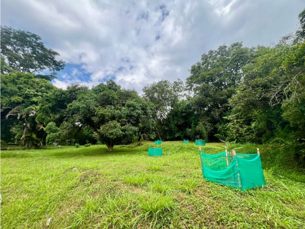 VENTA LOTE PLANO LA BUITRERA CALI — foto 5