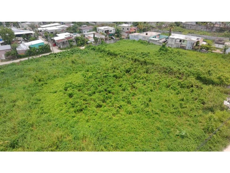 VENTA-Terreno Sup. 3,846 M2 Buenavista 1a. Sección 56 mts. De Frente — foto 2