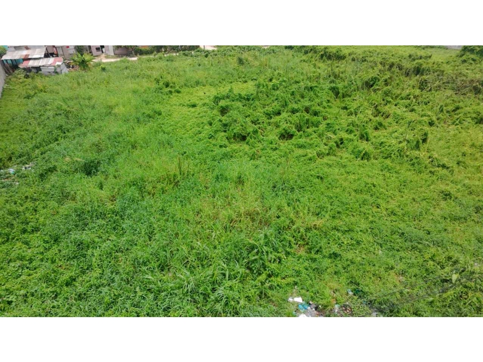 VENTA-Terreno Sup. 3,846 M2 Buenavista 1a. Sección 56 mts. De Frente — foto 3