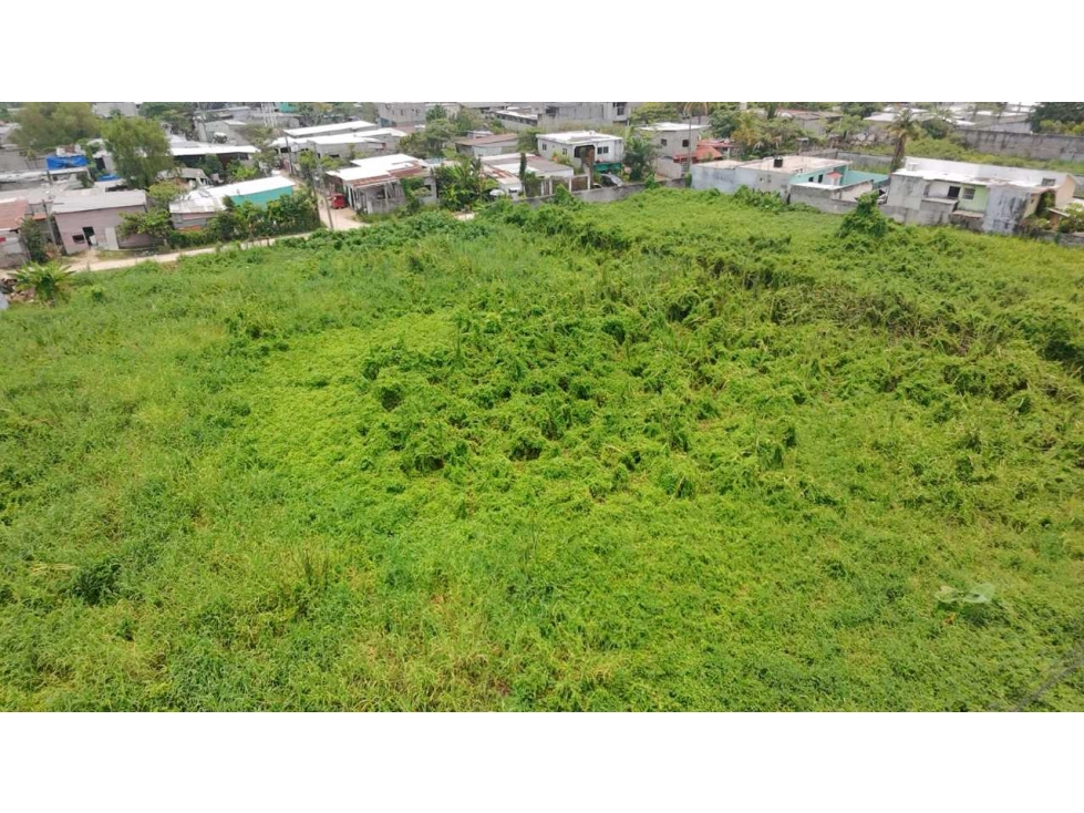 VENTA-Terreno Sup. 3,846 M2 Buenavista 1a. Sección 56 mts. De Frente — foto 4