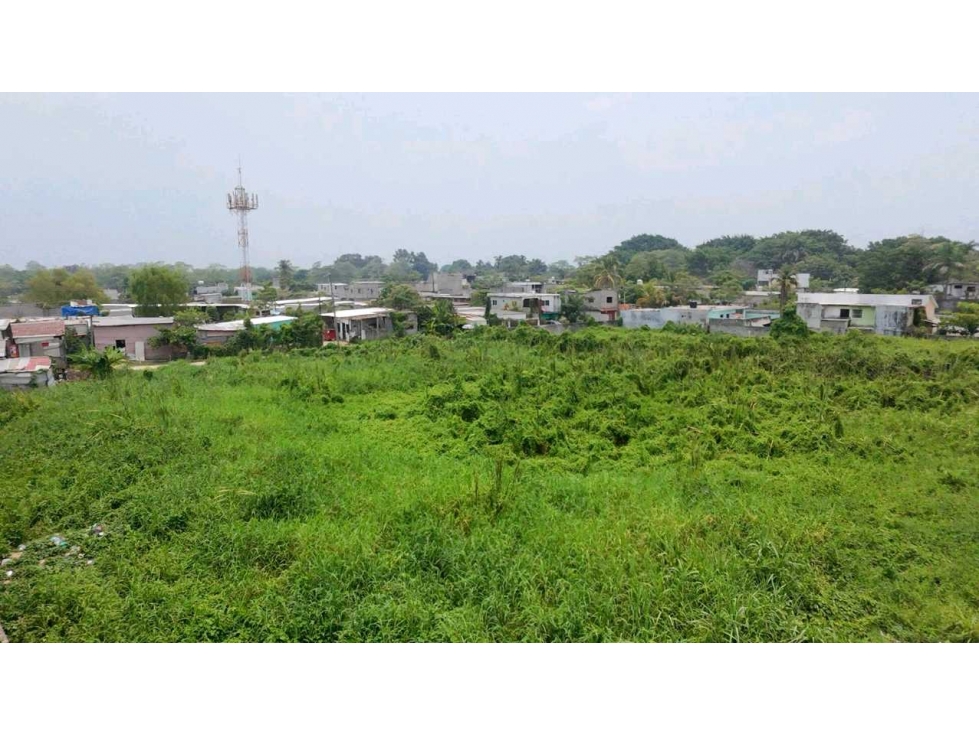 VENTA-Terreno Sup. 3,846 M2 Buenavista 1a. Sección 56 mts. De Frente — foto 5