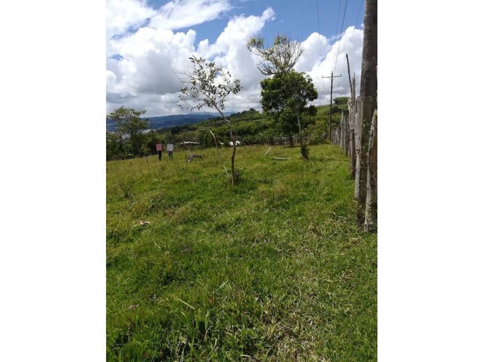 VEREDA CALIMA EL DARIEN - 3