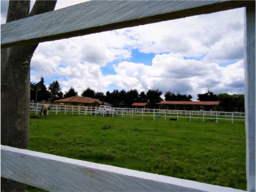 VEREDA SAN JOSE-HACIENDA EN VENTA-EL ROSAL-FRO0357REFUG (AO) - 2