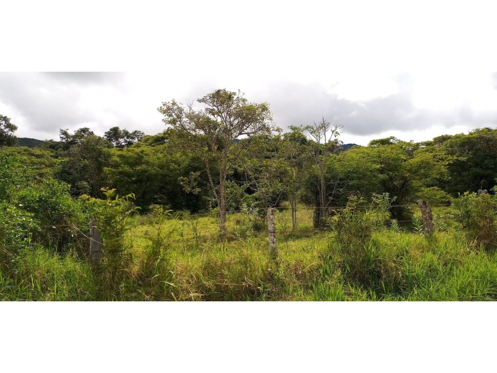 VRD CAJAMARCA - 2