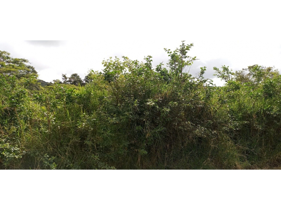 VRD CAJAMARCA - 3