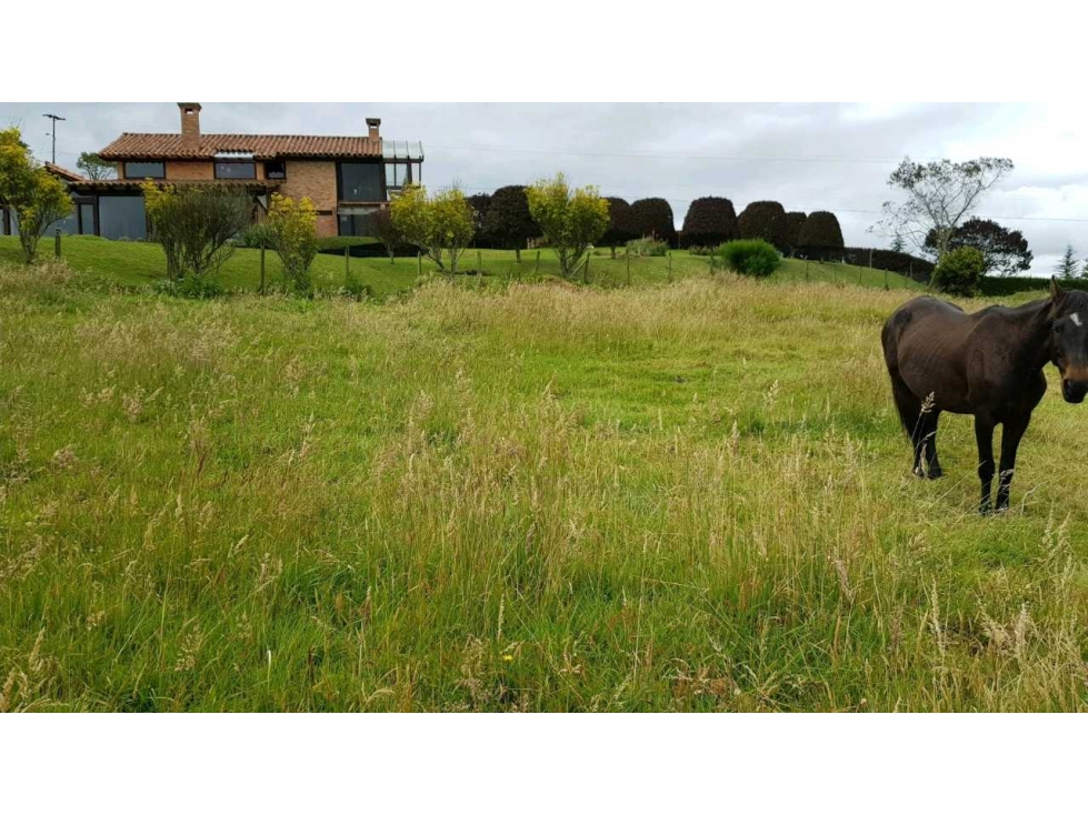 YERBABUENA VENTA OPORTUNIDAD LOTE EN CONDOMINIO 2500M2 $350M — foto 2