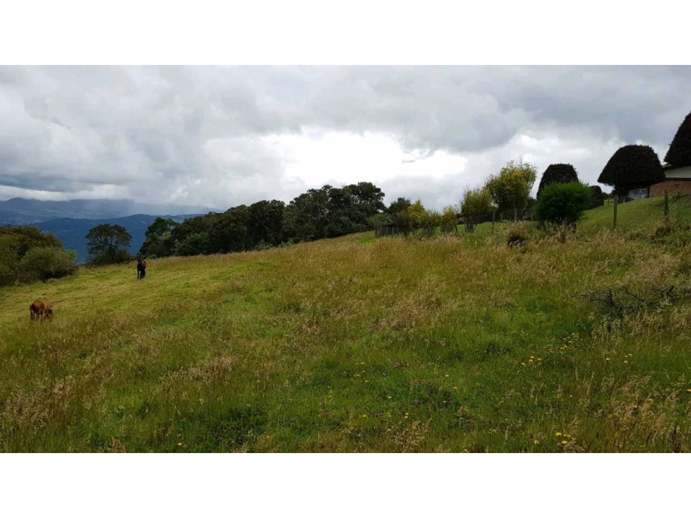 YERBABUENA VENTA OPORTUNIDAD LOTE EN CONDOMINIO 2500M2 $350M — foto 5