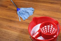 Cómo limpiar pisos de parquet