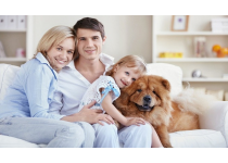 Consejos que debes seguir si deseas tener una mascota en tu hogar