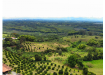 Vivir en el Quindío: Lo que debes de saber