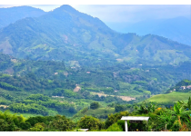 Descubriendo el Edén del Quindío