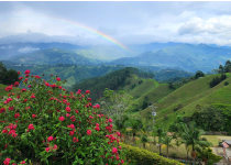 Bienvenido a Armenia: Un Destino Ideal para Vivir
