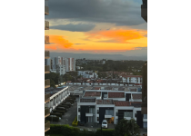 oportunidad de oro por que invertir en finca raiz en colombia