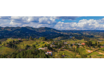 tendencias inmobiliarias en la ceja y el oriente antioqueno para lo que queda del 2025