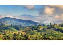 los municipios del quindio con mejor proyeccion de inversion inmobiliaria en el eje cafetero