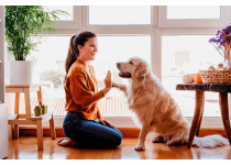 mascotas y vivienda un nuevo factor en la decision de compra