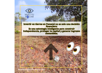 por que invertir en tierras sigue siendo la mejor opcion en panama