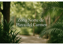 por que la zona norte de playa del carmen es una de las mejores areas para vivir e invertir en 2025
