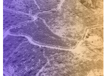 el valor de anticiparse una mirada estrategica a la inversion inmobiliaria