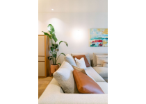 olvidate de las macetas pequenas