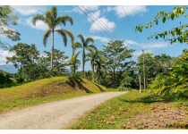 farm vs lot in costa rica understanding the difference before you buy land