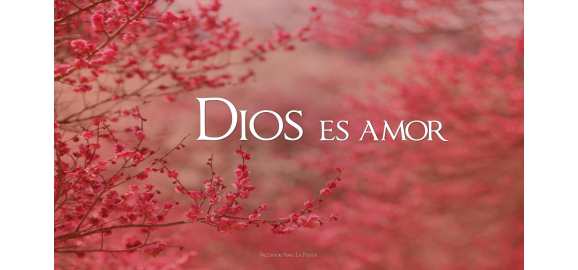nunca te olvides de dios