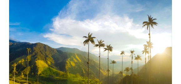 descubre el encanto de vivir en el quindio naturaleza cultura y calidad de vida
