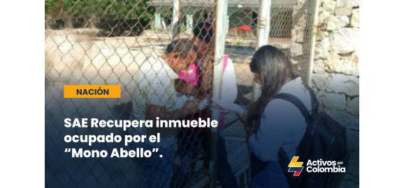 sae recupera inmueble ocupado por el mono abello