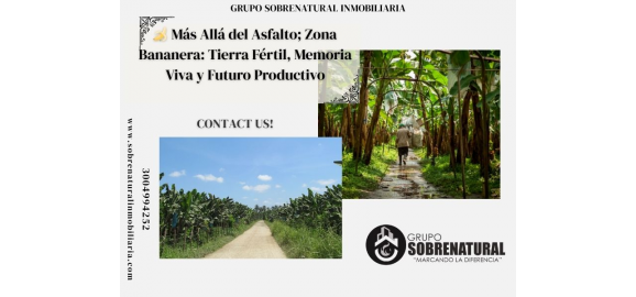 mas alla del asfalto zona bananera tierra fertil memoria viva y futuro productivo