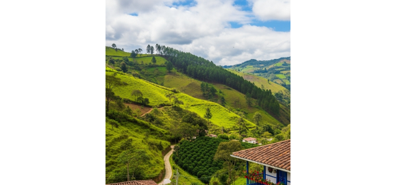 fincas en antioquia la guia definitiva 2025 para encontrar su paraiso personal