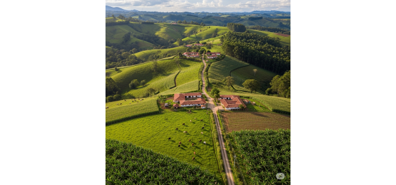 cambio finca en guarne