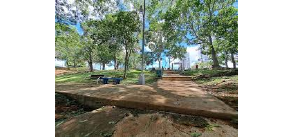 hato pintado family tradition with a vision for the future