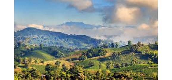 los municipios del quindio con mejor proyeccion de inversion inmobiliaria en el eje cafetero