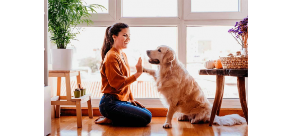 mascotas y vivienda un nuevo factor en la decision de compra