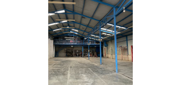 como un asesor inmobiliario experto impulsa el crecimiento de su empresa