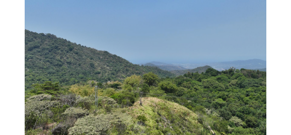 venta de lote en minca santa marta inversion ideal para proyecto hotelero o ecologico