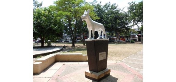 guia del barrio san fernando cali colombia vive donde la historia y la cultura se encuentran